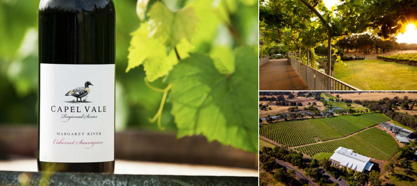 Screen-Shot-2023-04-25-at-95651-am