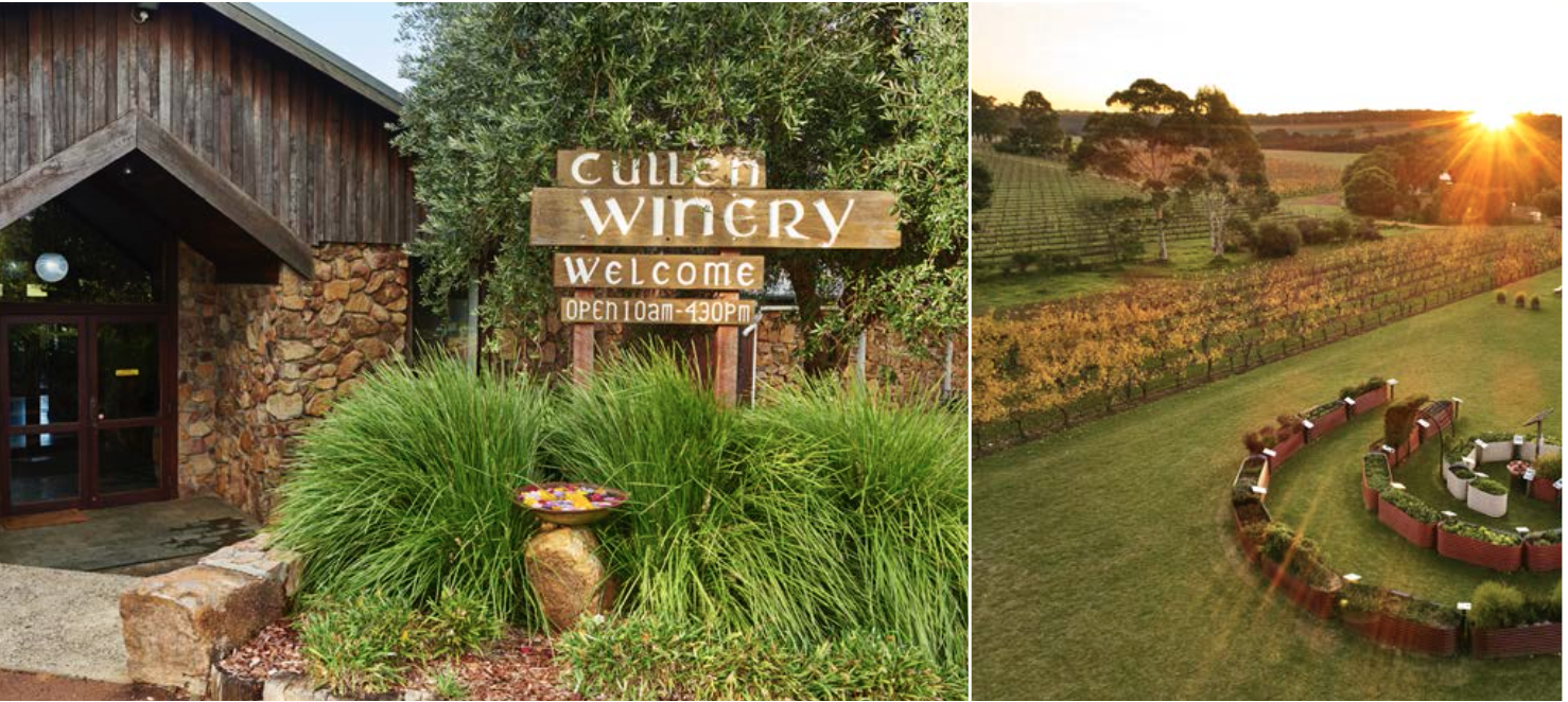 Screen-Shot-2023-04-21-at-123150-pm