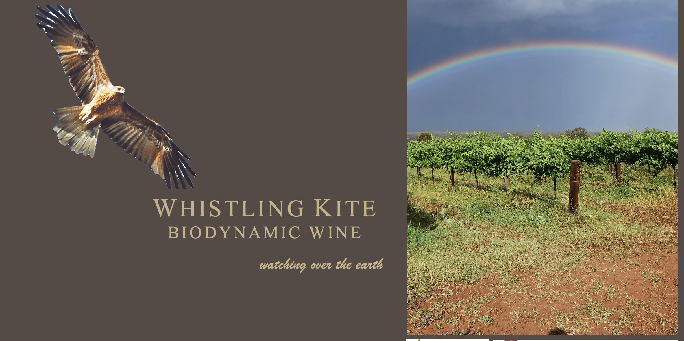 Screen-Shot-2023-04-25-at-103642-am