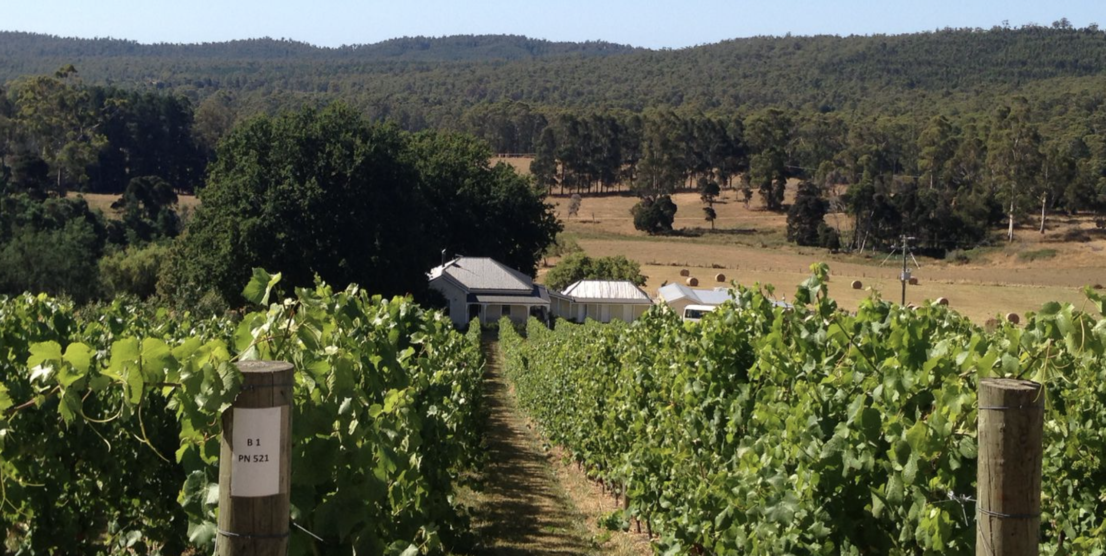 Screen-Shot-2023-04-25-at-112627-am