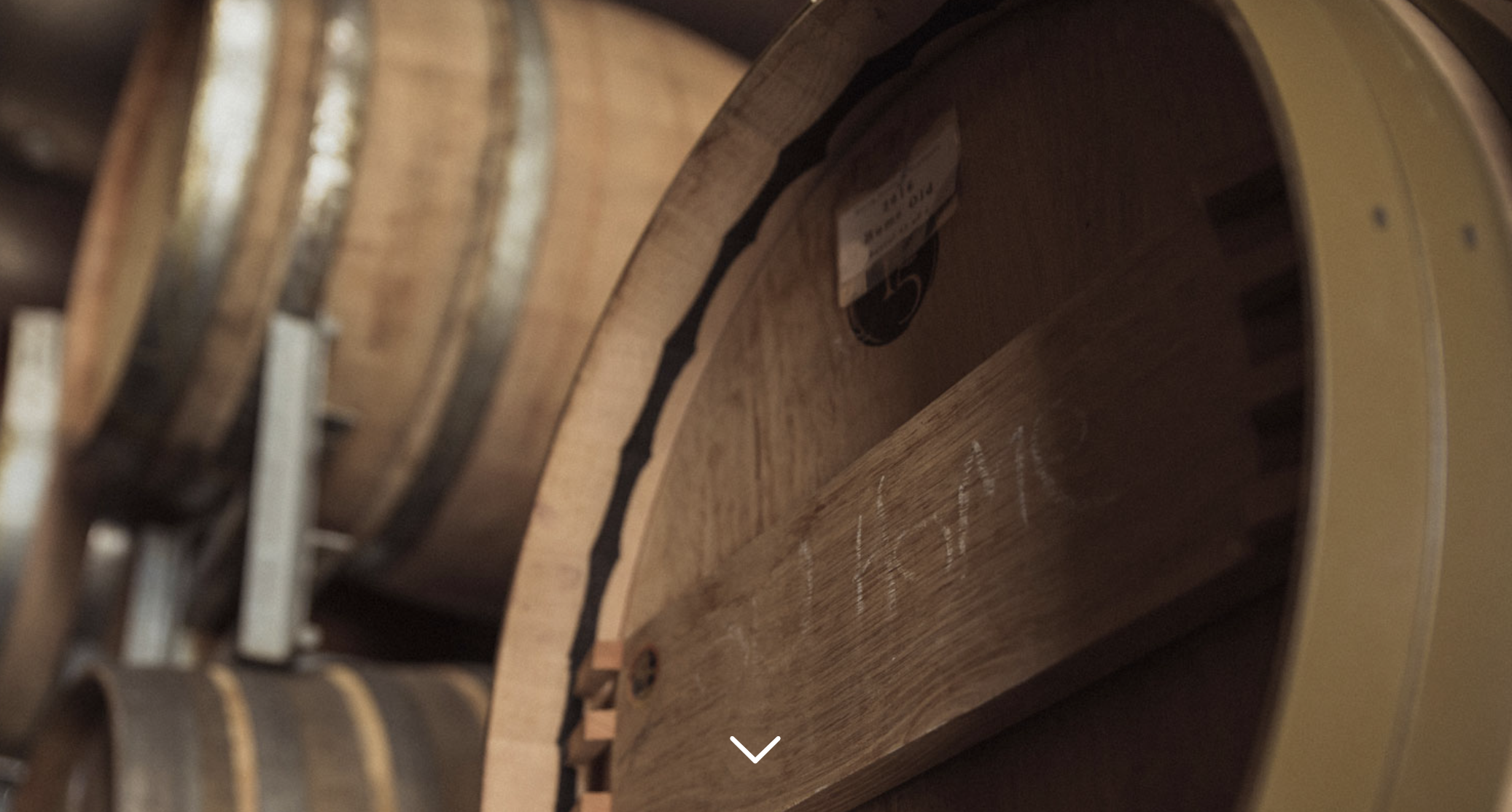 Screen-Shot-2023-04-25-at-42917-pm