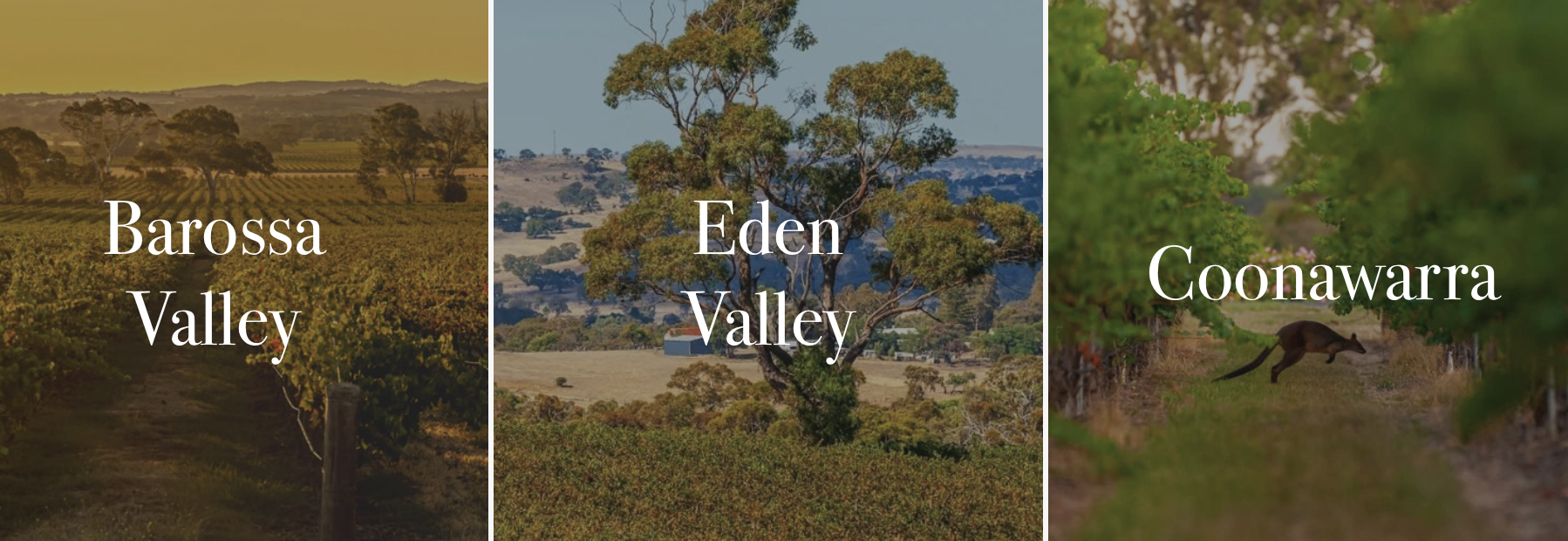 Screen-Shot-2023-04-25-at-44056-pm