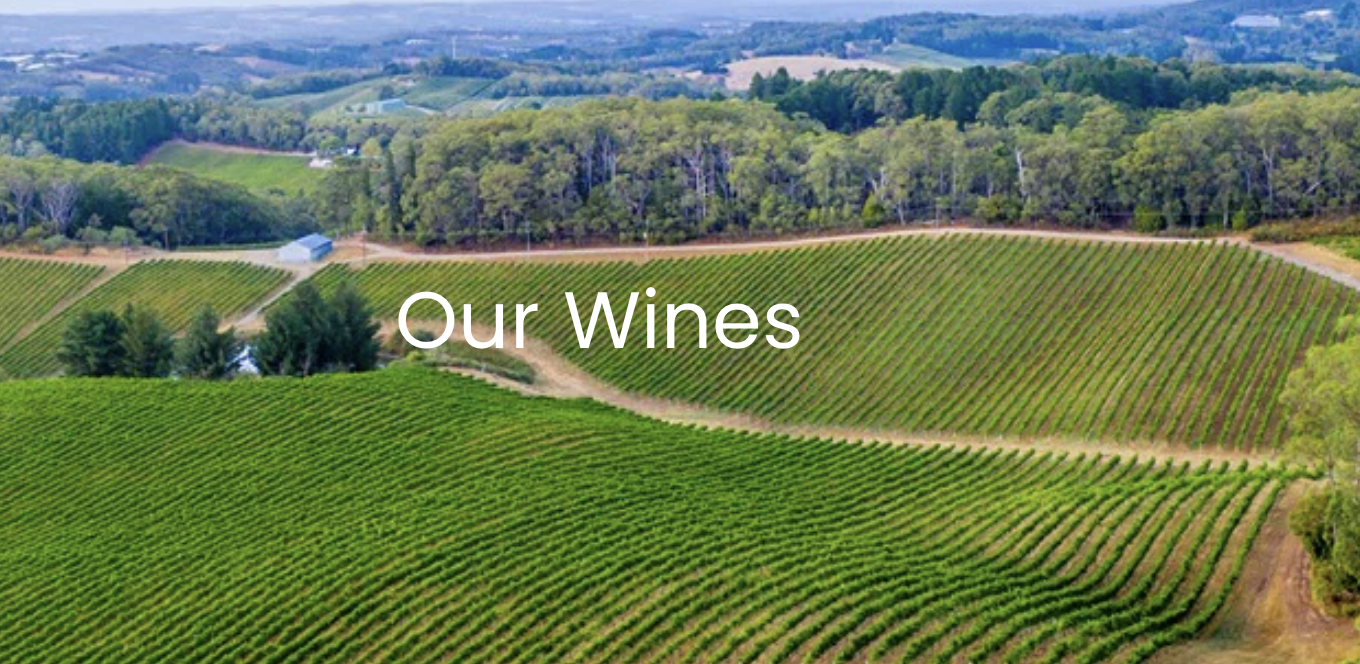 Screen-Shot-2023-04-25-at-52013-pm