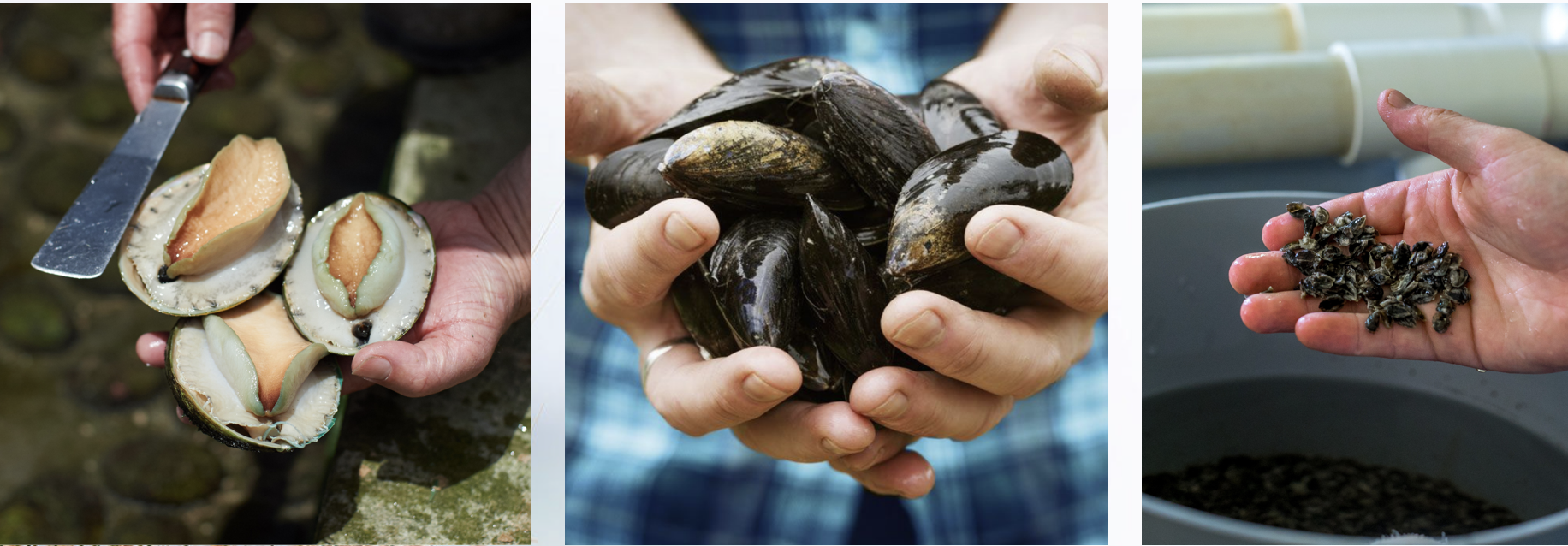 Screen-Shot-2023-04-26-at-122306-pm