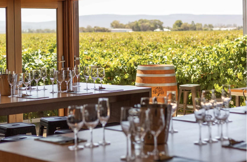 Screen-Shot-2023-04-26-at-123035-pm