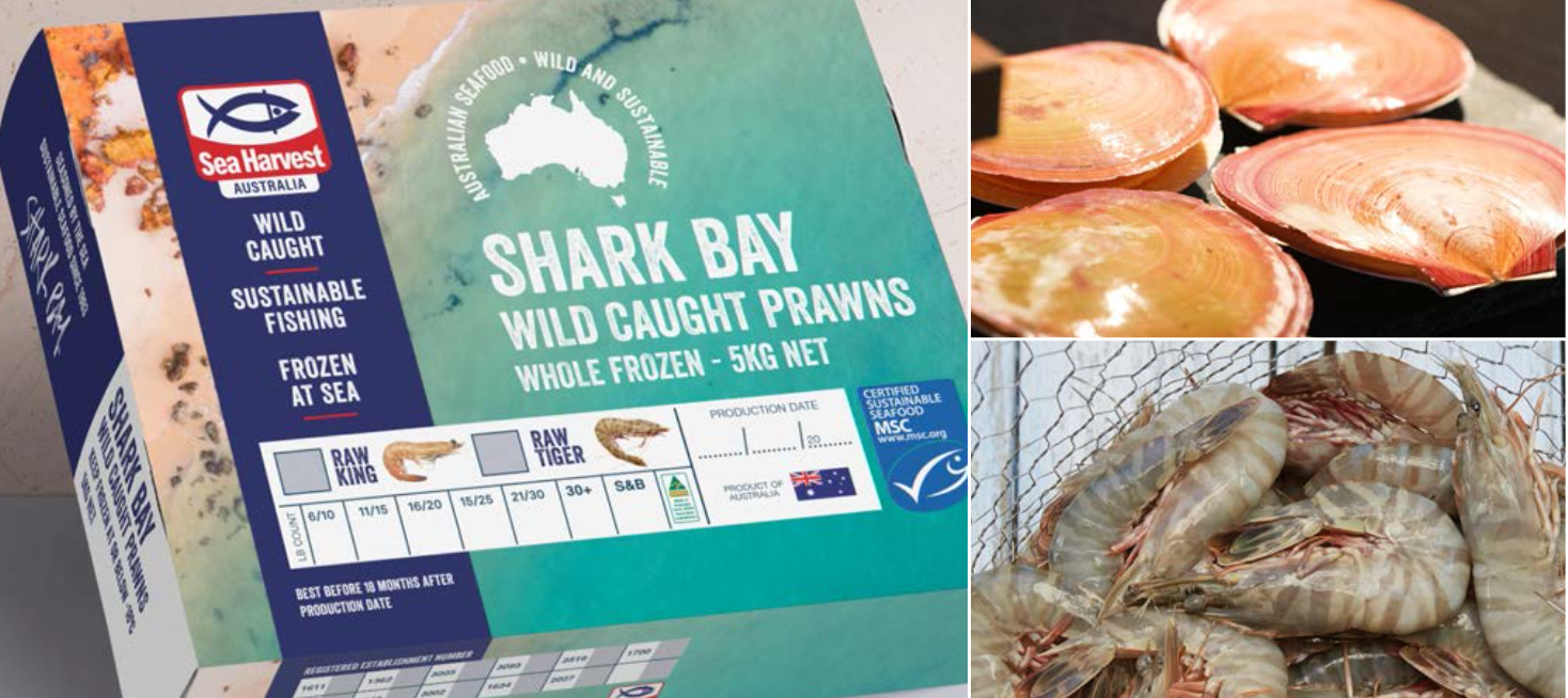 Screen-Shot-2023-04-25-at-102234-am