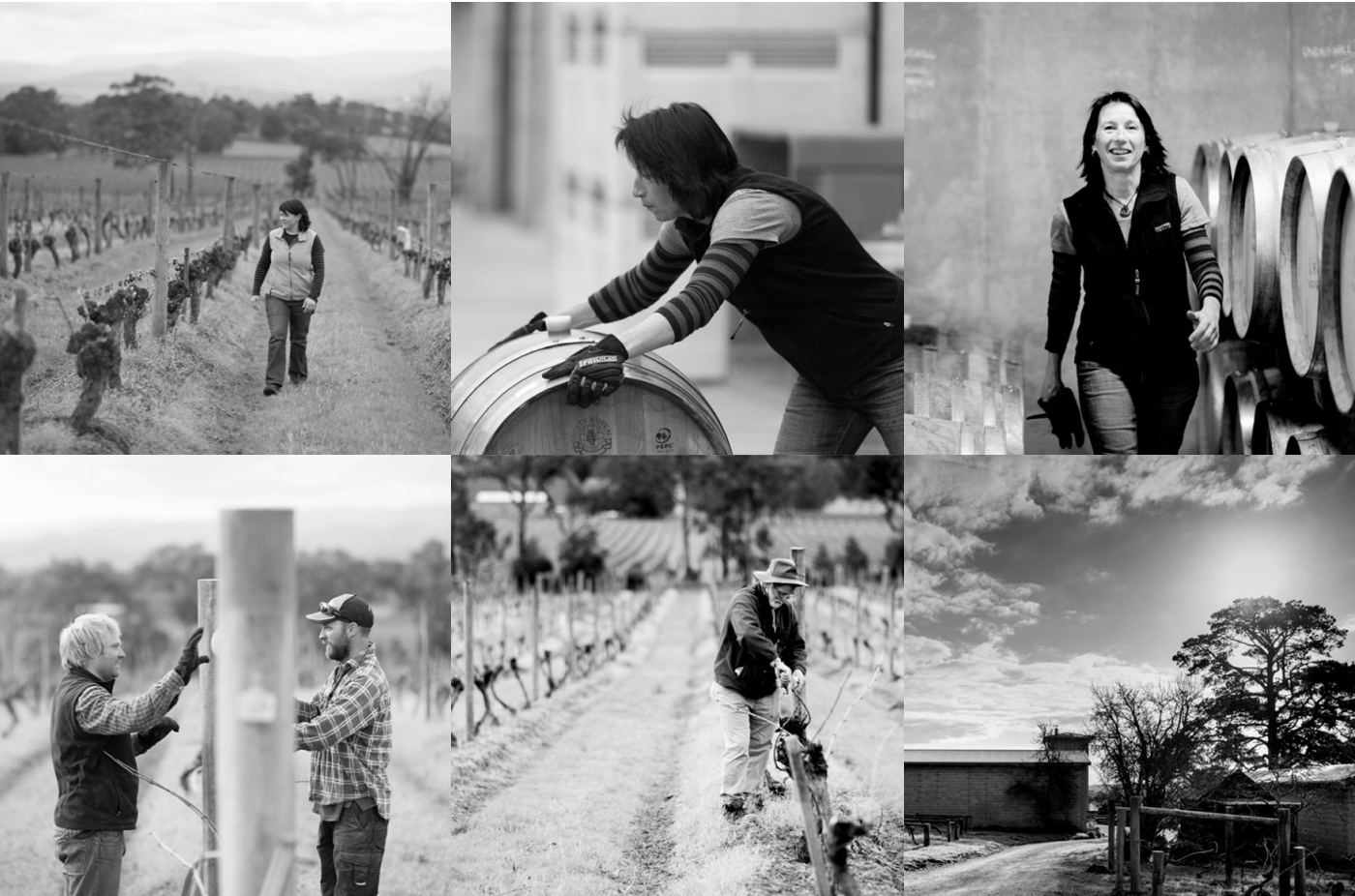 Screen-Shot-2023-04-25-at-102811-am