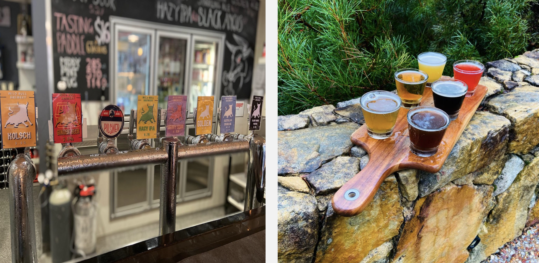 Screen-Shot-2023-04-29-at-121551-pm