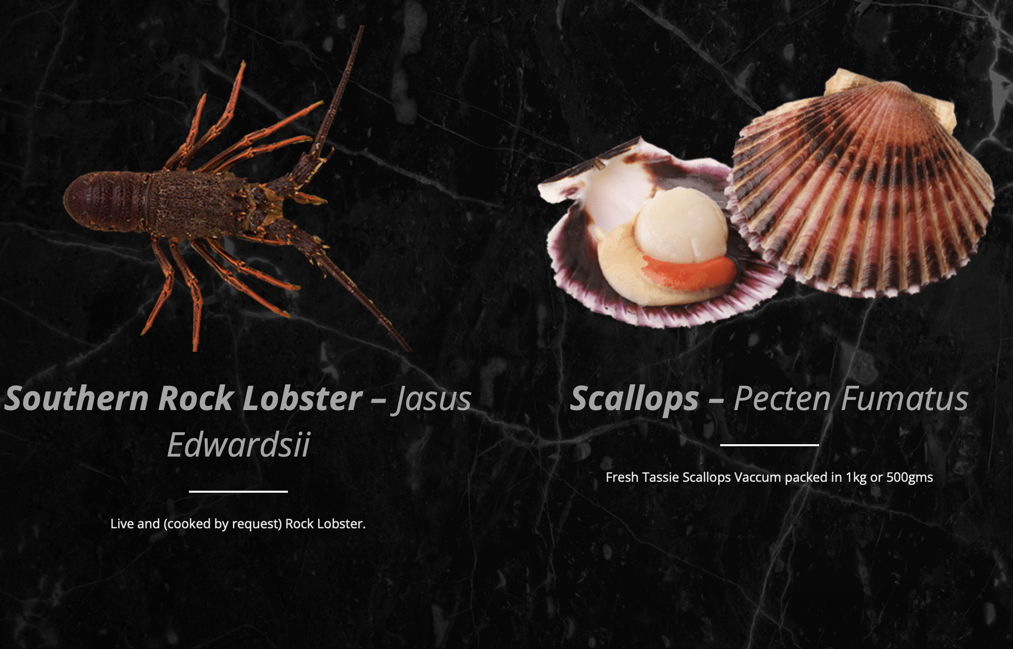 Screen-Shot-2023-04-30-at-115737-am