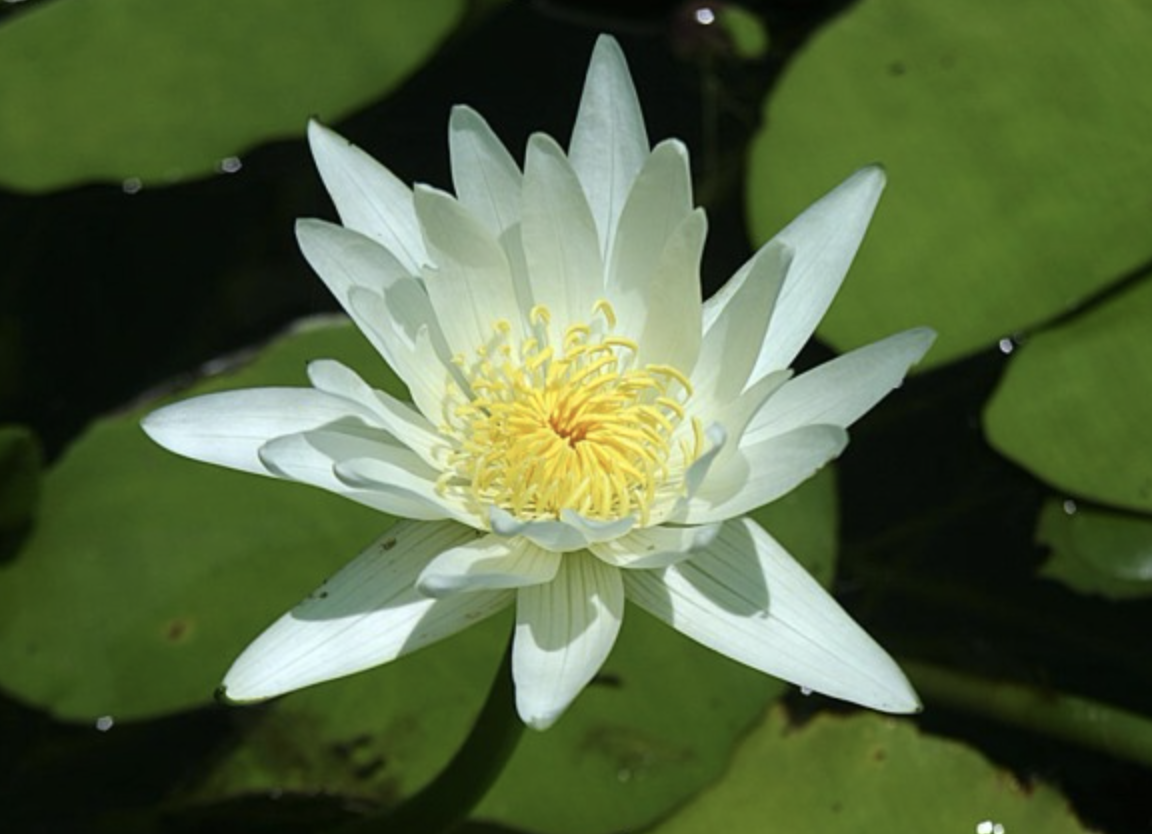 Screen-Shot-2023-04-30-at-120058-pm