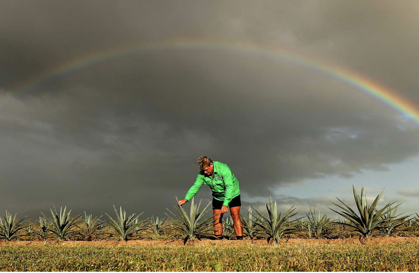 Screen-Shot-2023-04-30-at-122459-pm