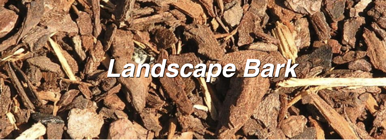 Screen-Shot-2023-04-30-at-15151-pm