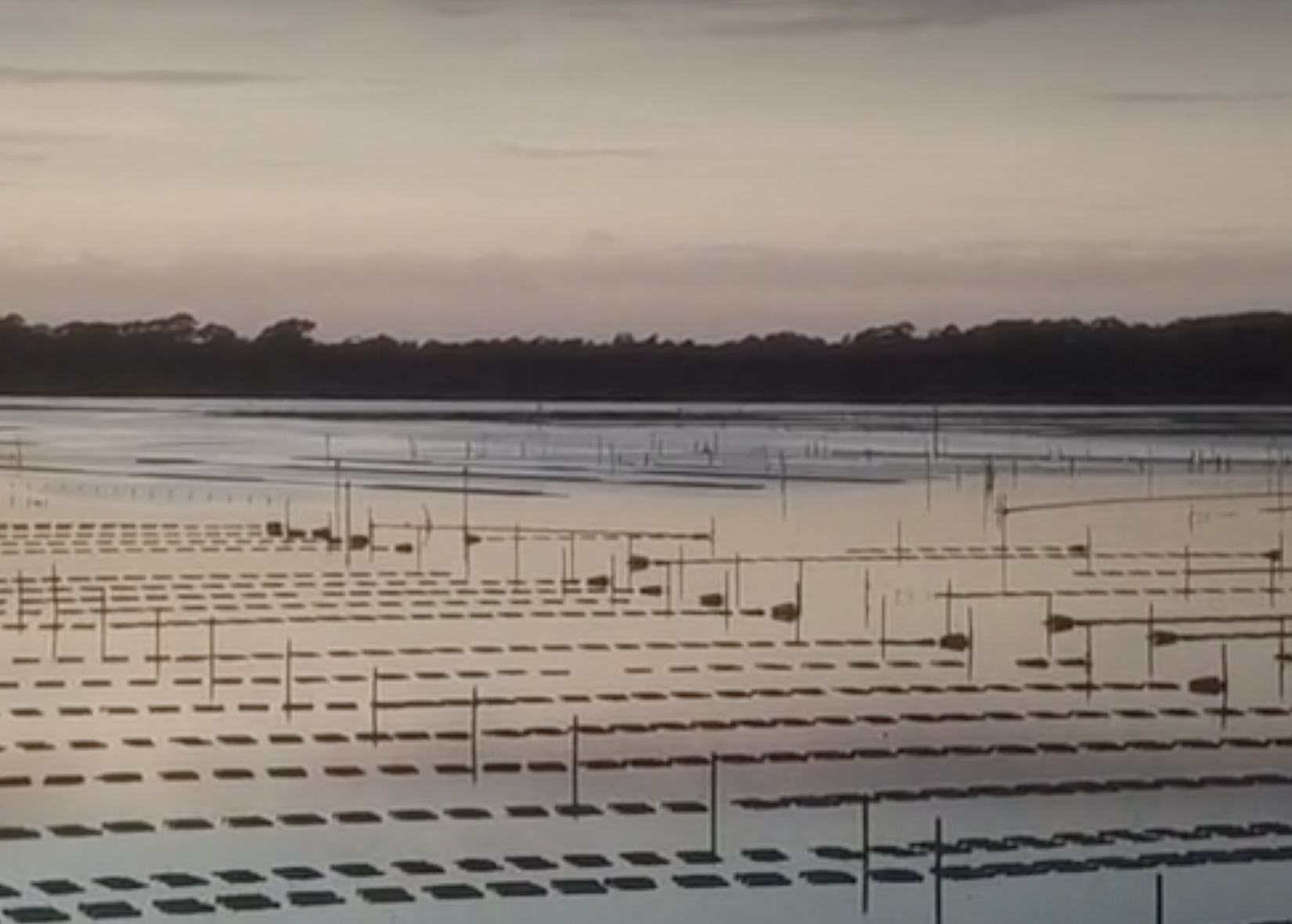 Screen-Shot-2023-04-30-at-125009-pm