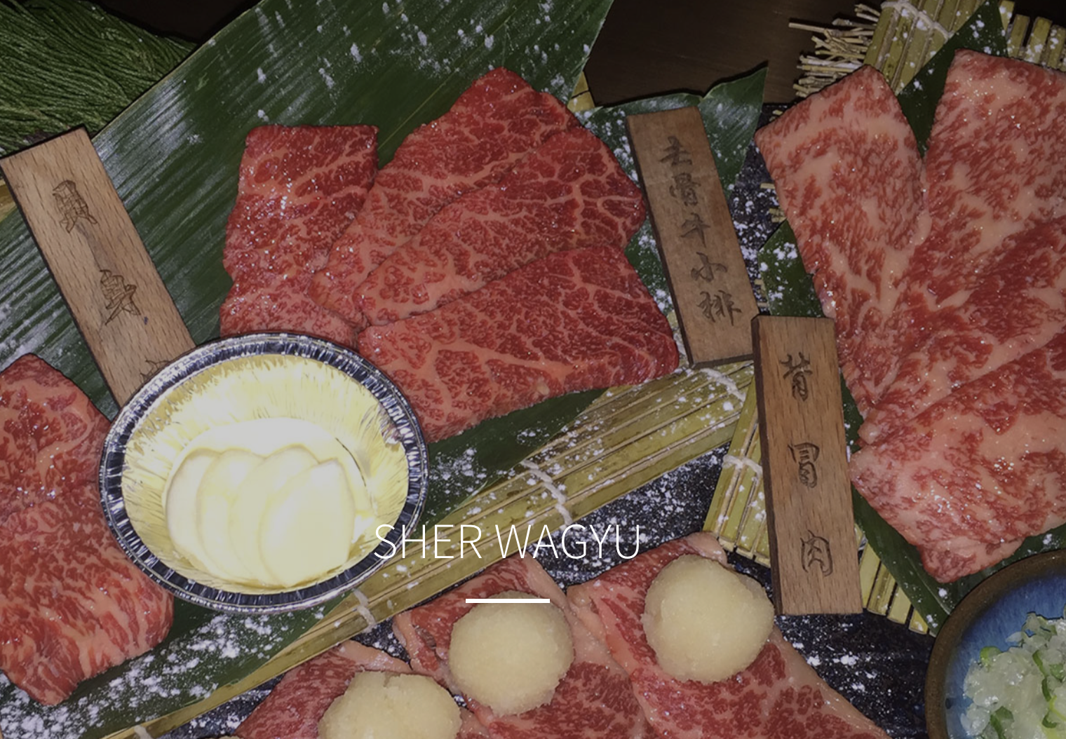 Screen-Shot-2023-04-30-at-31931-pm