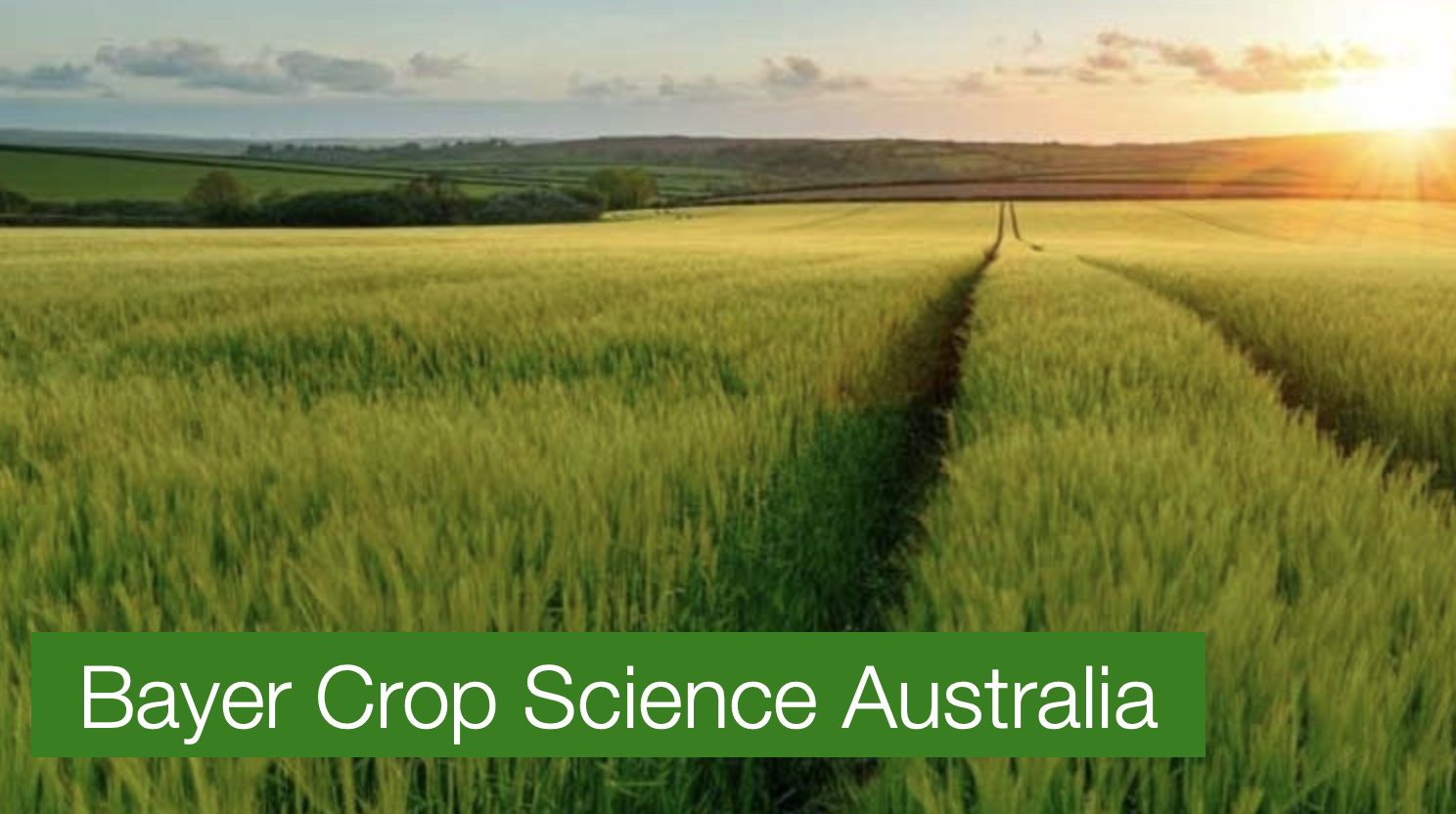 Screen-Shot-2023-04-30-at-33049-pm