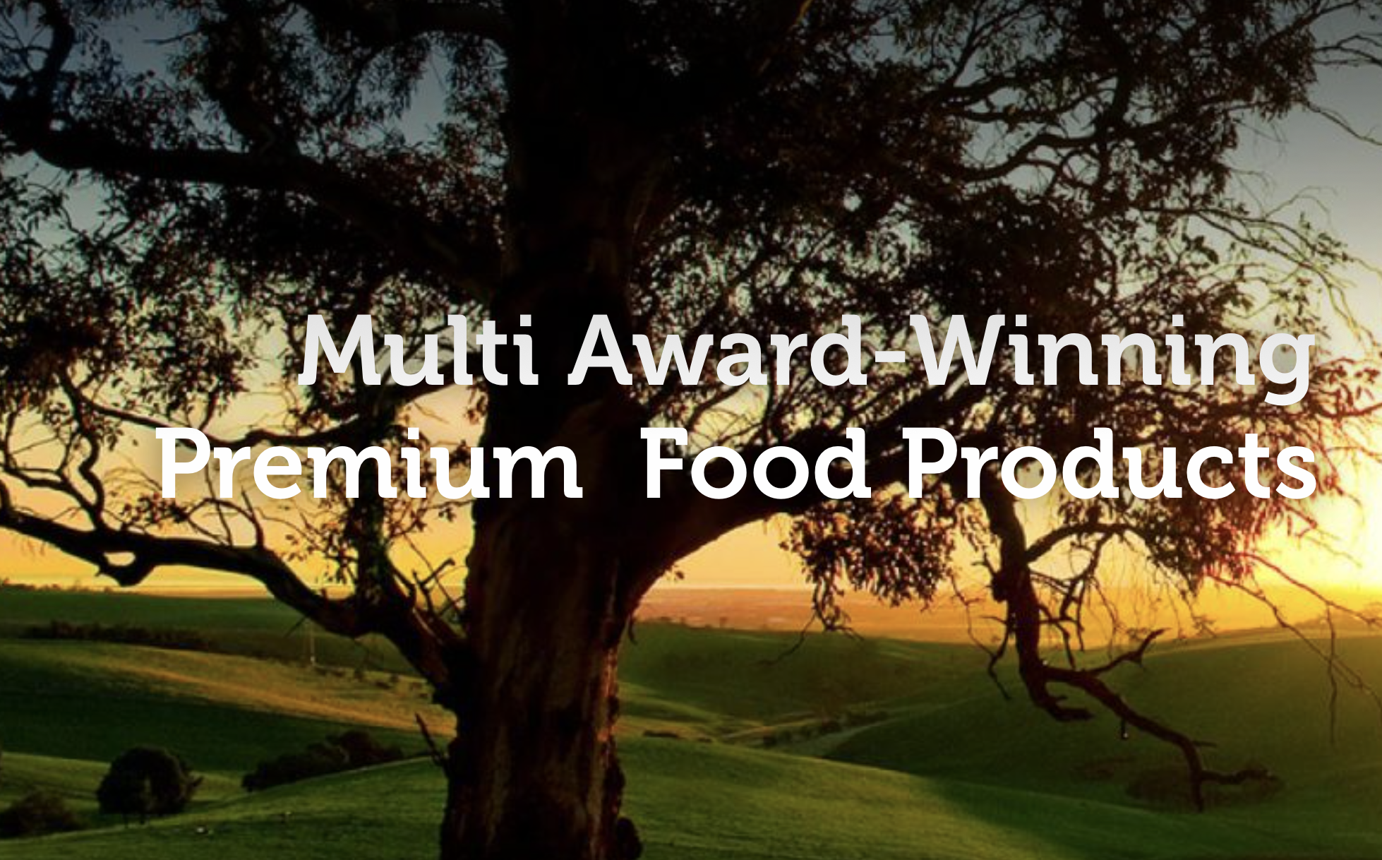 Screen-Shot-2023-04-30-at-35825-pm