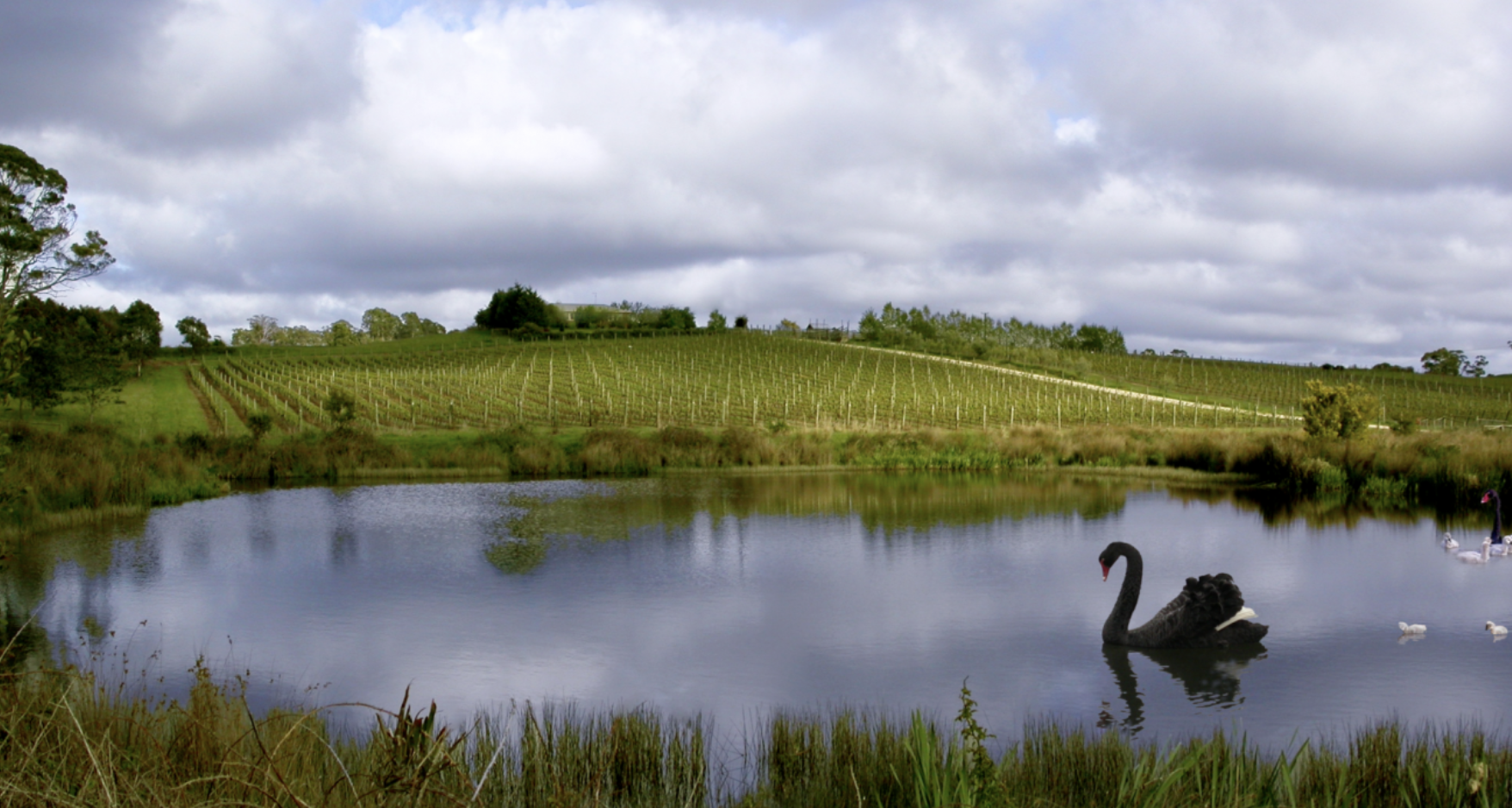 Screen-Shot-2023-05-07-at-101549-am