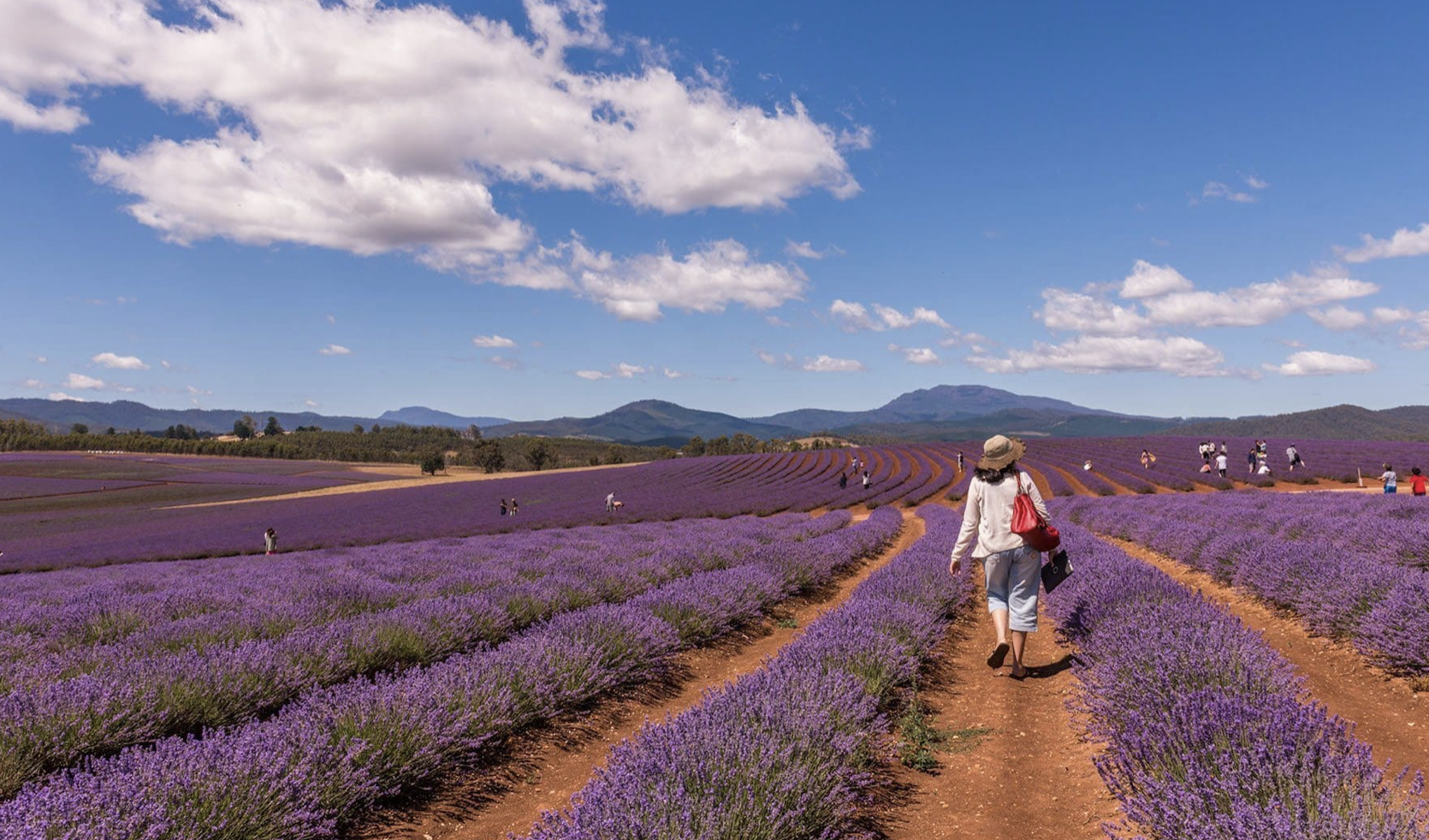 Screen-Shot-2023-05-07-at-102607-am