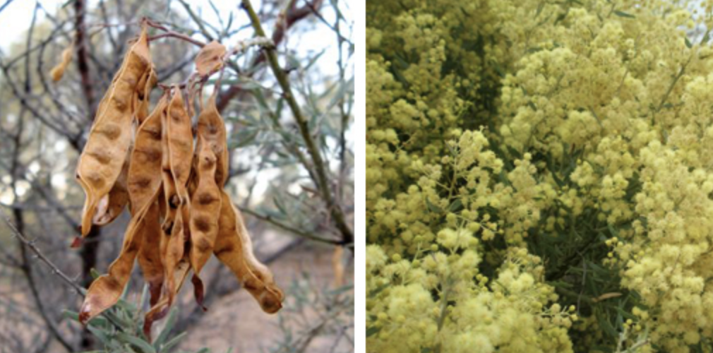 Screen-Shot-2023-05-07-at-105420-am