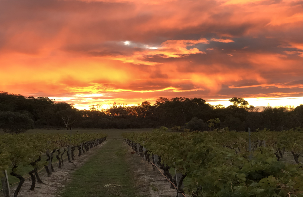 Screen-Shot-2023-05-08-at-90456-am