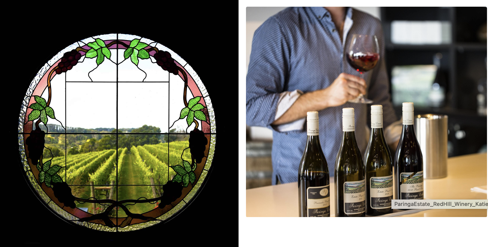 Screen-Shot-2023-05-20-at-122619-pm