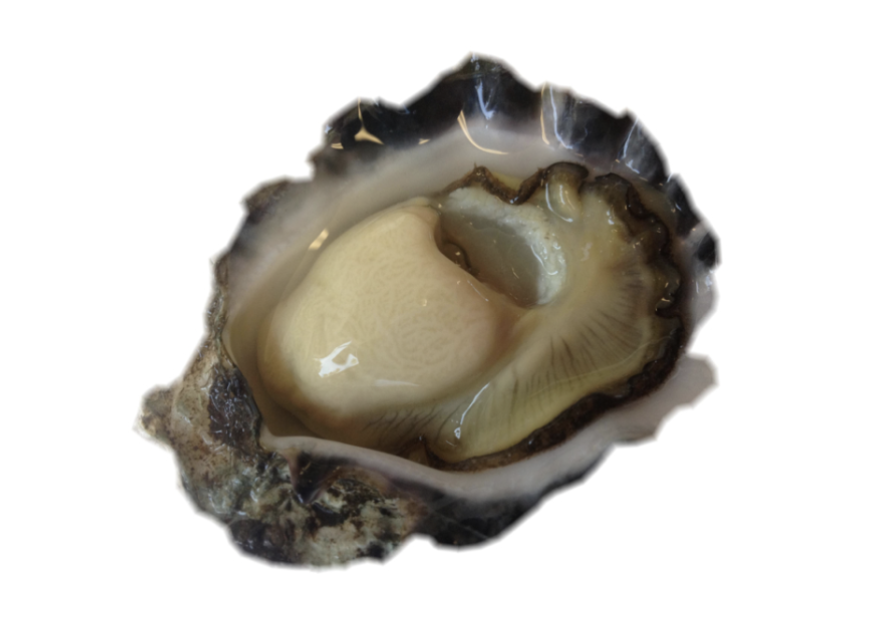 Screen-Shot-2023-05-29-at-31147-pm