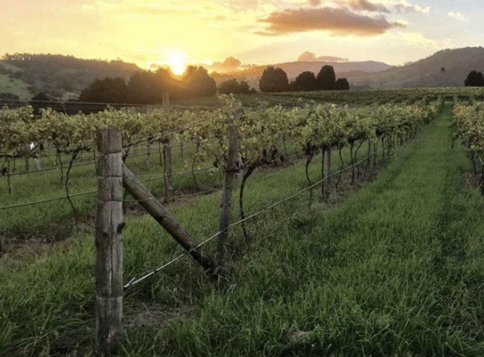 Screen-Shot-2023-05-29-at-34042-pm