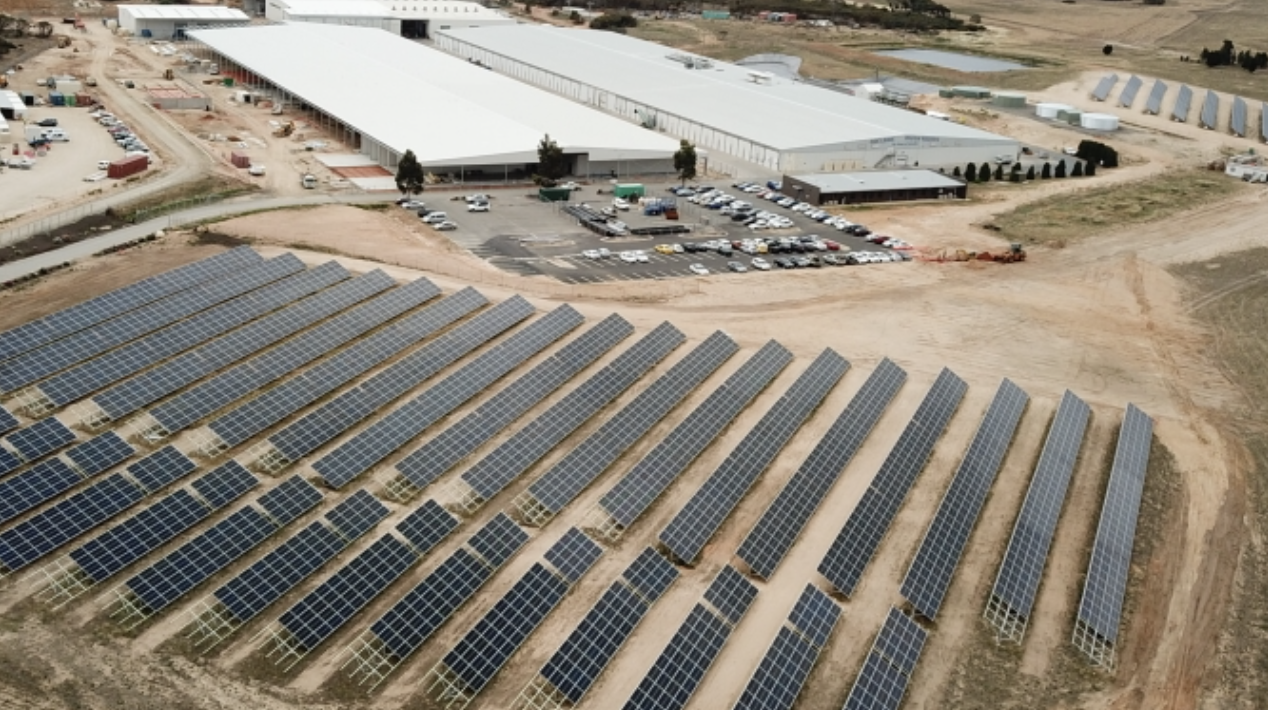 Screen-Shot-2023-05-29-at-42310-pm