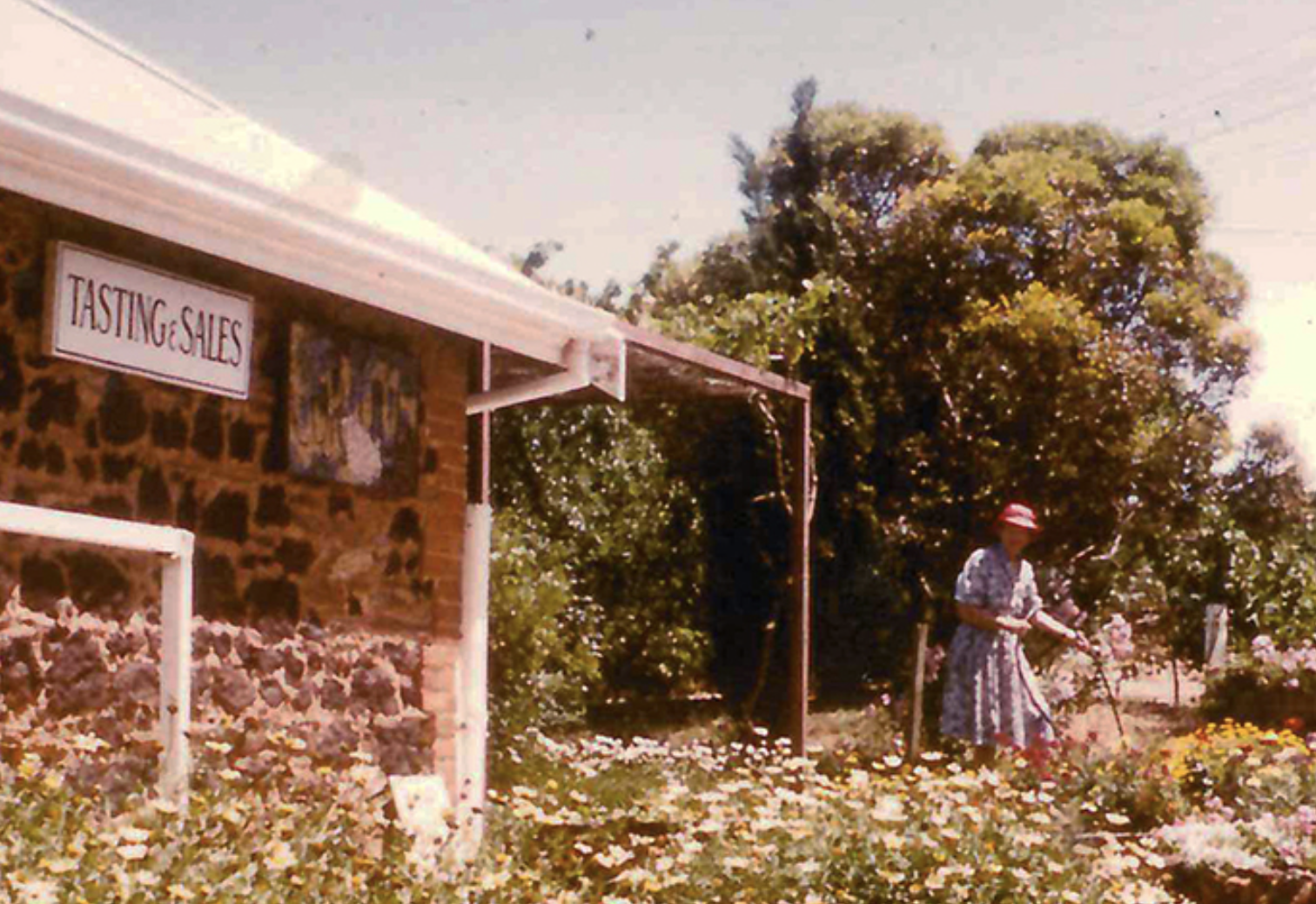 Screen-Shot-2023-05-29-at-42548-pm