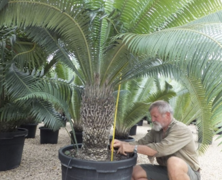 Screen-Shot-2023-05-29-at-50306-pm