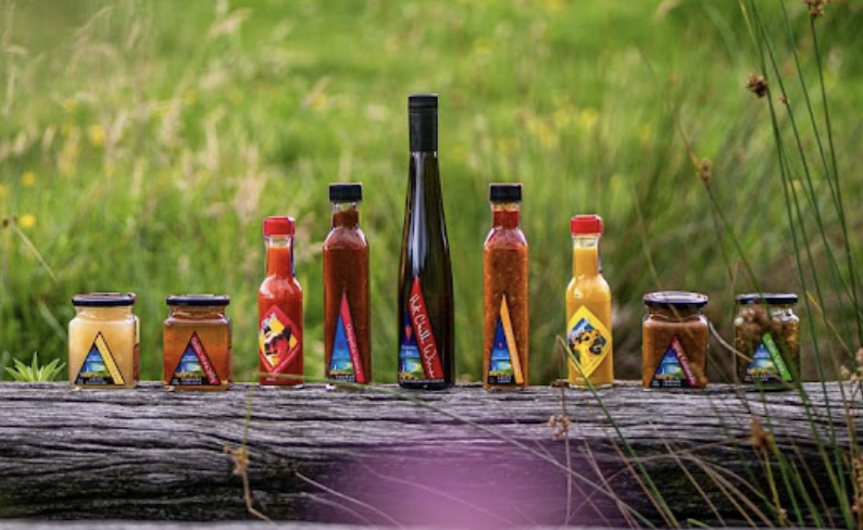 Screen-Shot-2023-05-30-at-123729-pm