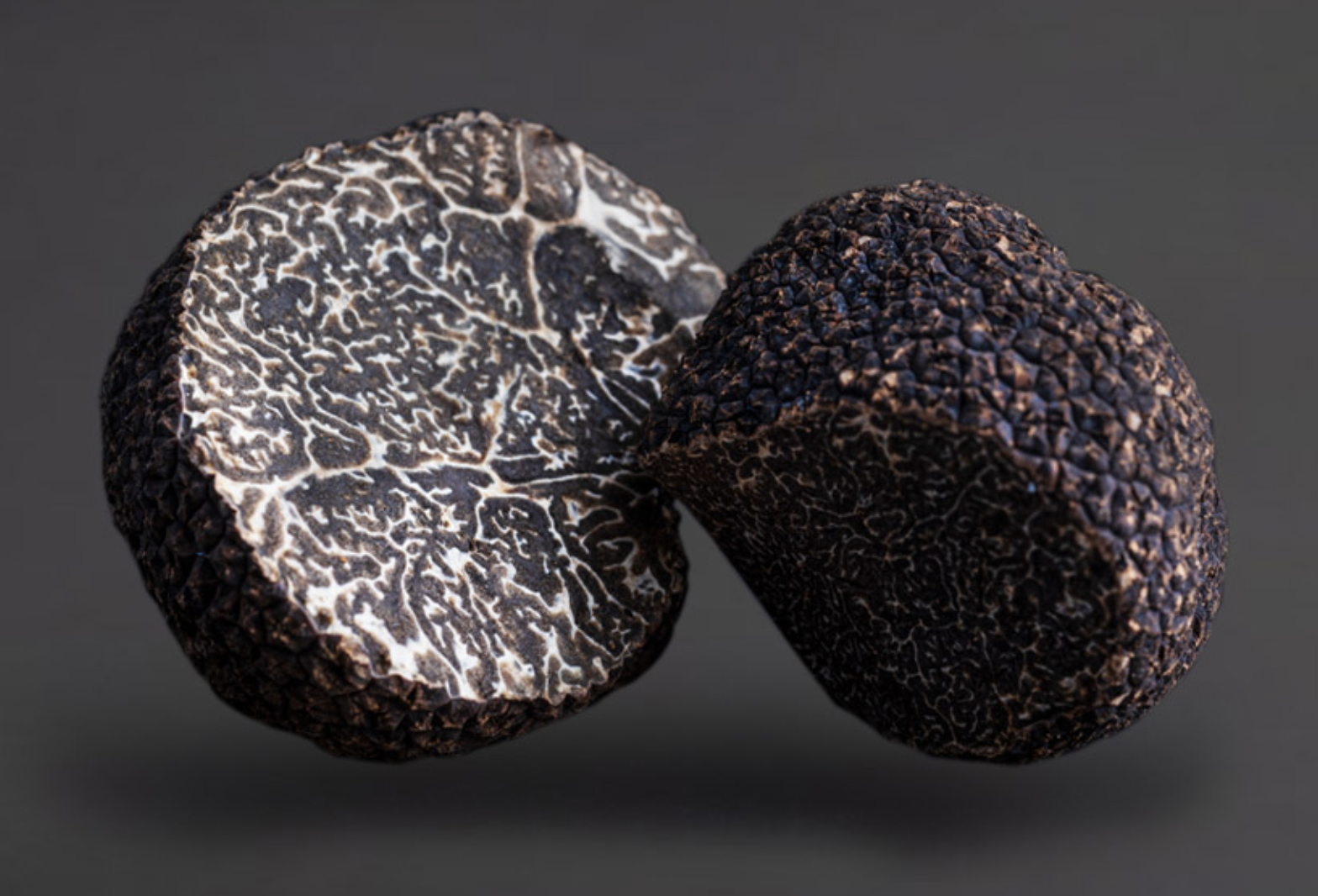 Screen-Shot-2023-05-30-at-12750-pm