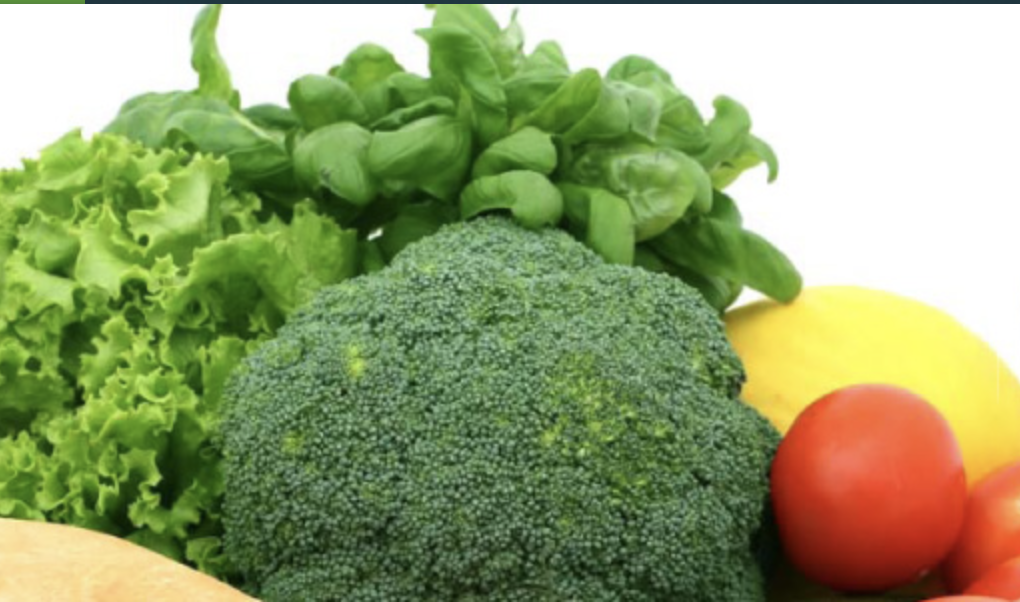 Screen-Shot-2023-05-30-at-45011-pm