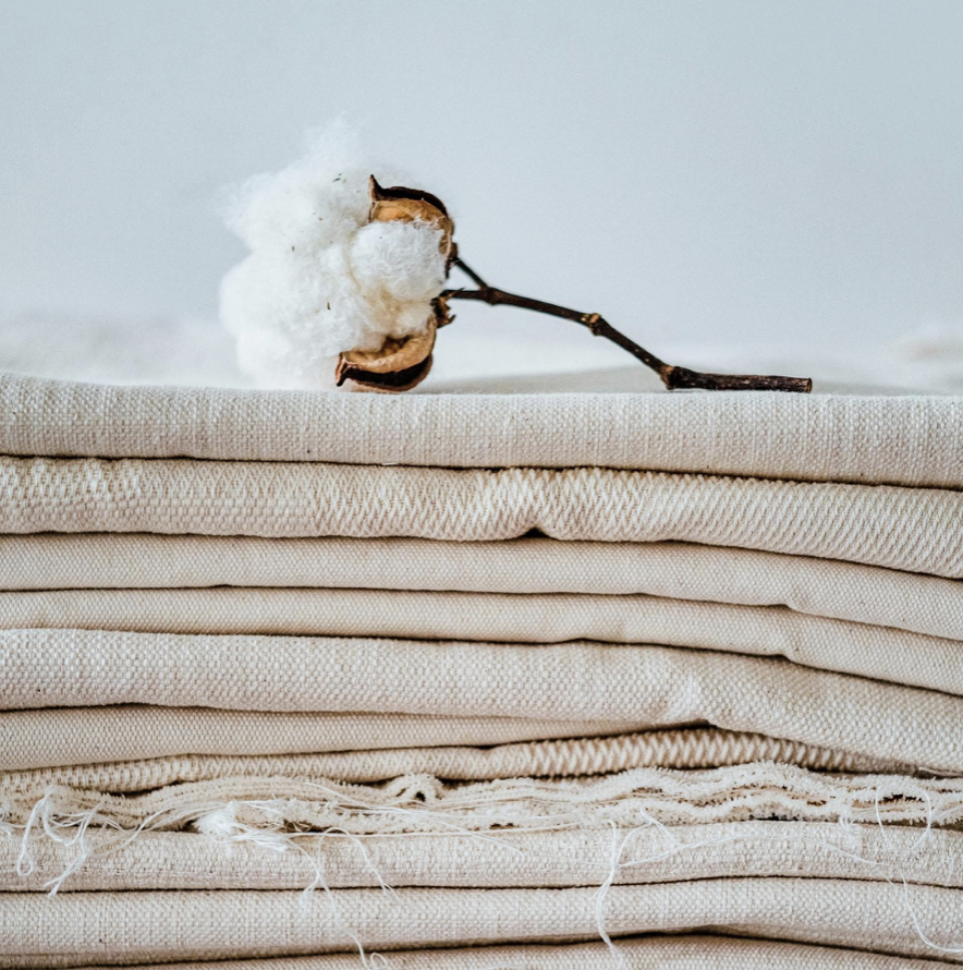 Screen-Shot-2023-06-01-at-104845-am