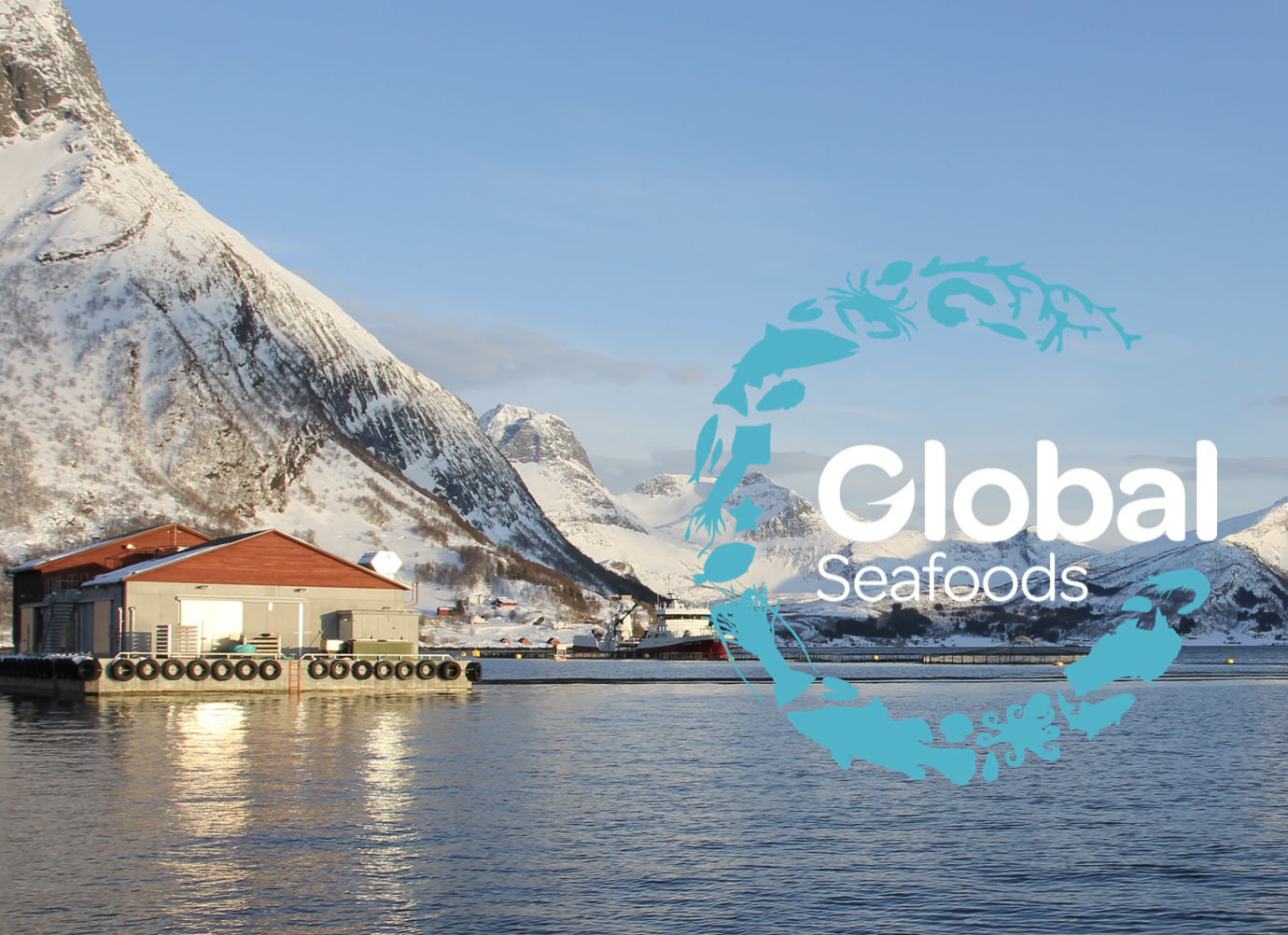 Screen-Shot-2023-06-01-at-112024-am