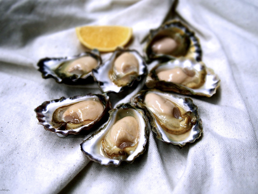 Screen-Shot-2023-06-01-at-12526-pm