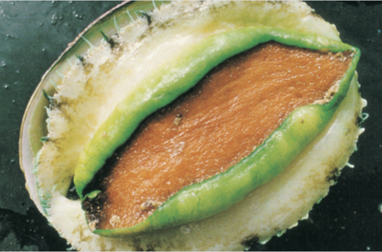 Screen-Shot-2023-06-01-at-23726-pm