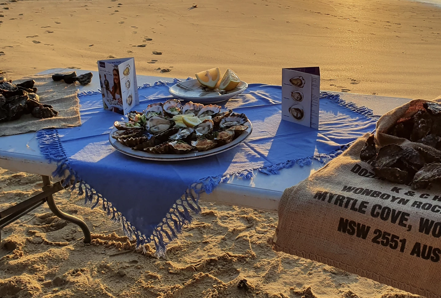 Screen-Shot-2023-06-03-at-102520-am