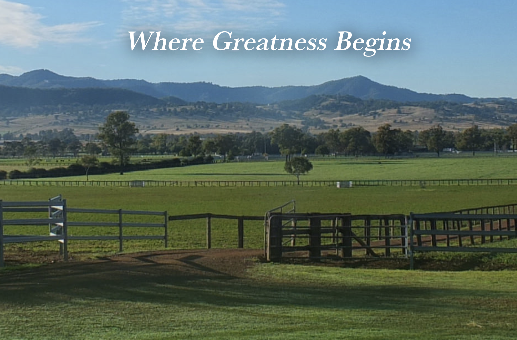 Screen-Shot-2023-06-10-at-21702-pm