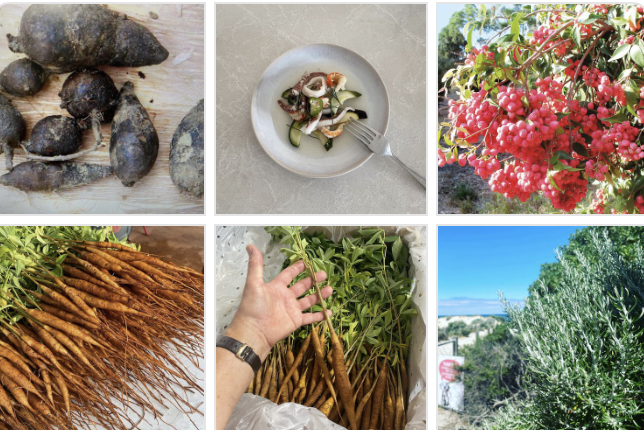 Screen-Shot-2023-06-10-at-22039-pm