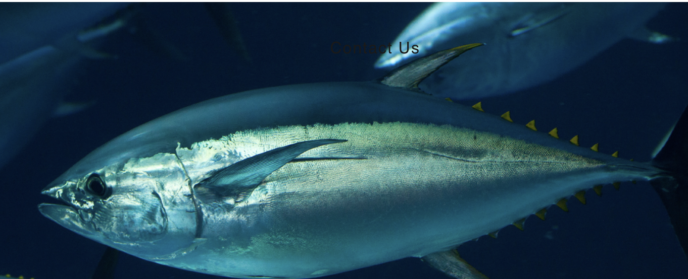 Screen-Shot-2023-06-10-at-114615-am