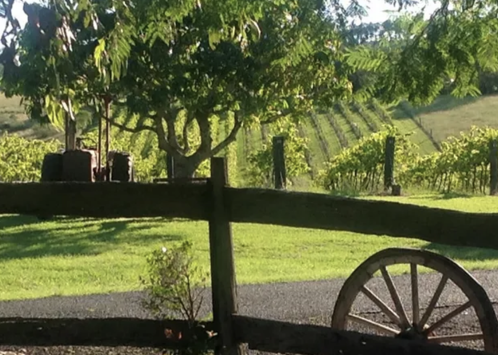 Screen-Shot-2023-06-10-at-115236-am