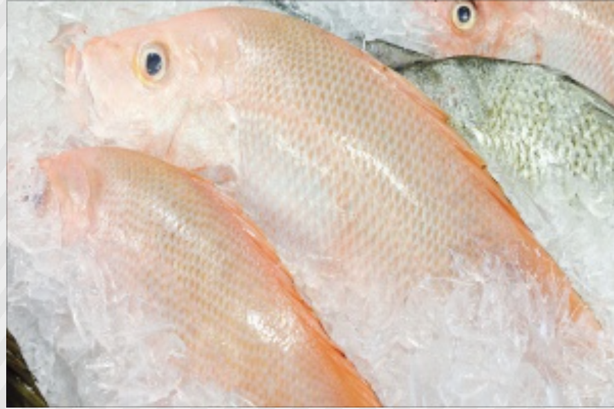 Screen-Shot-2023-06-10-at-22709-pm