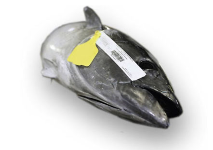 Screen-Shot-2023-06-10-at-23830-pm