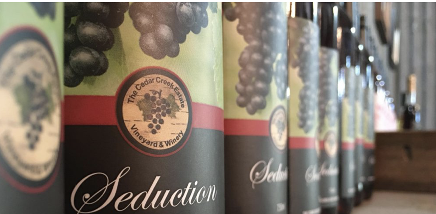 Screen-Shot-2023-06-11-at-92403-am