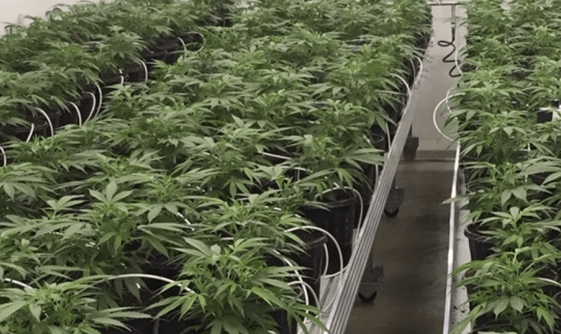 Screen-Shot-2023-06-11-at-100134-am