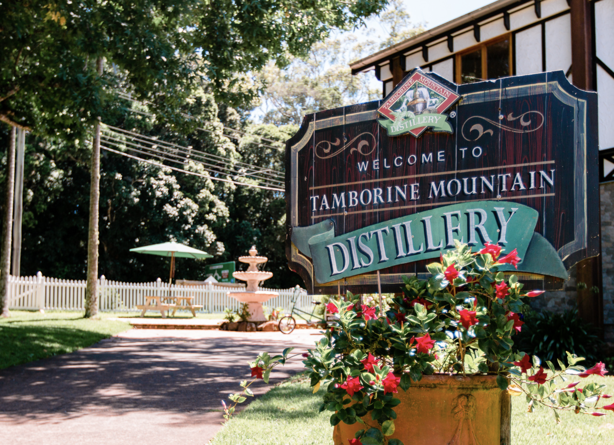 Screen-Shot-2023-06-11-at-112420-am