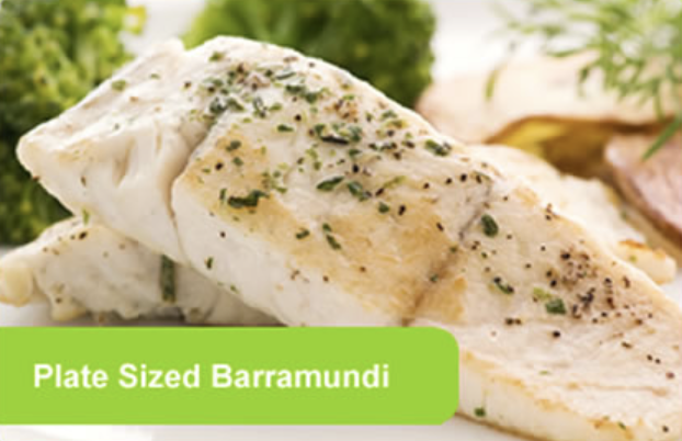 Screen-Shot-2023-06-11-at-113154-am