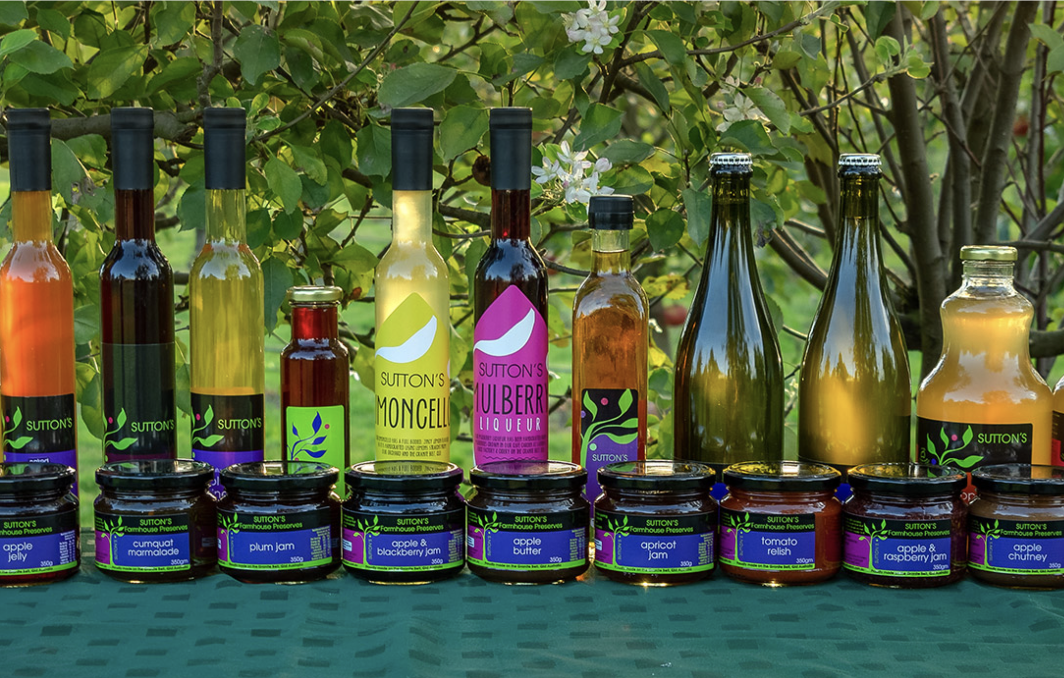 Screen-Shot-2023-06-11-at-114318-am