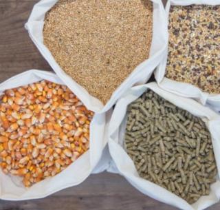 Animal Feed